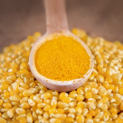 Maize Gluten