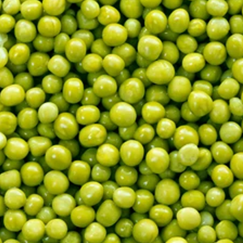 Canned Peas
