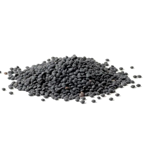 Black Gram