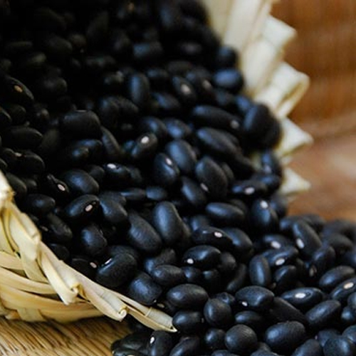 Black Gram