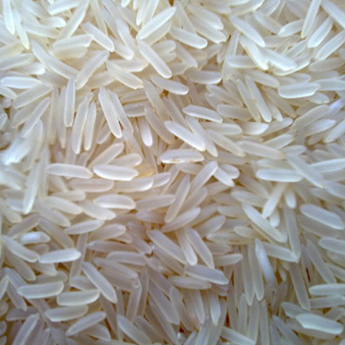 1121 Sella Rice