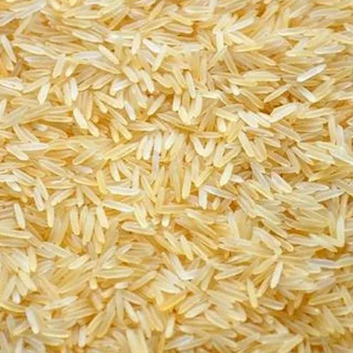 1121 Sella Rice
