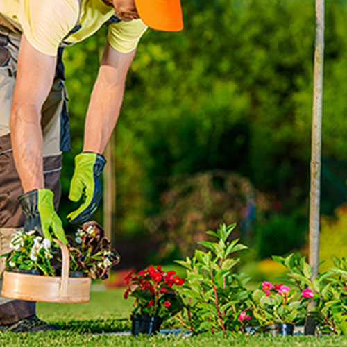 Garden Maintenance