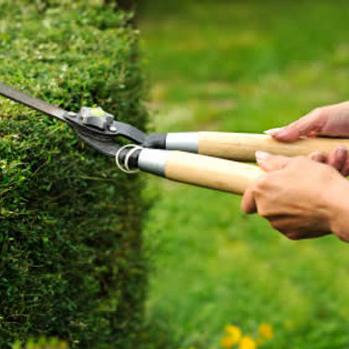 Garden Maintenance