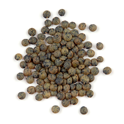 Lentils