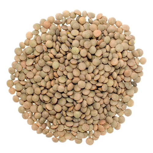 Lentils