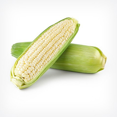 White Corn