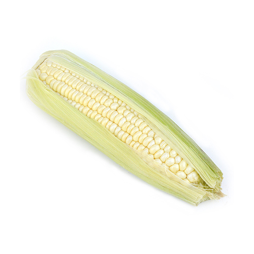 White Corn