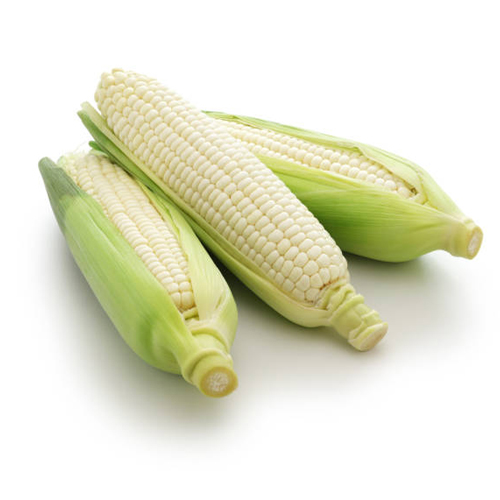 White Corn