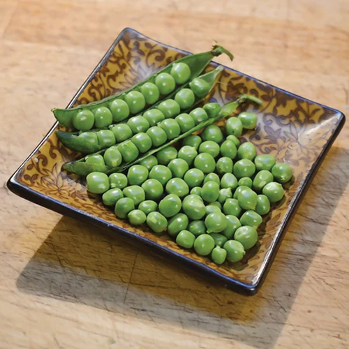 Pea Seeds