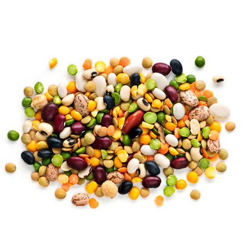 Organic Pulses