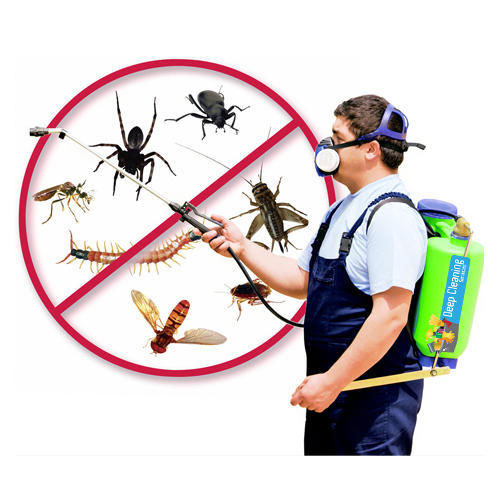 Insect Control