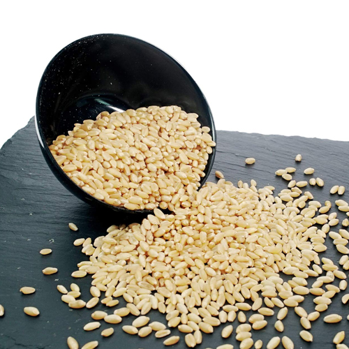 Lokwan Wheat