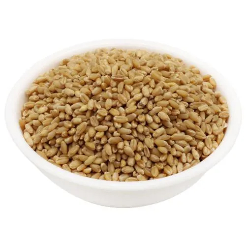 Lokwan Wheat