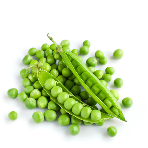 Pea Beans
