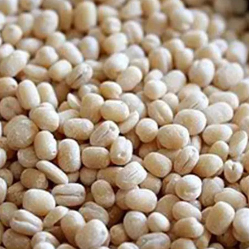 White Urad Dal