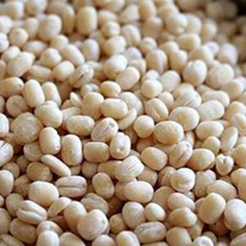 White Urad Dal