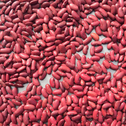 Dark Kidney Bean
