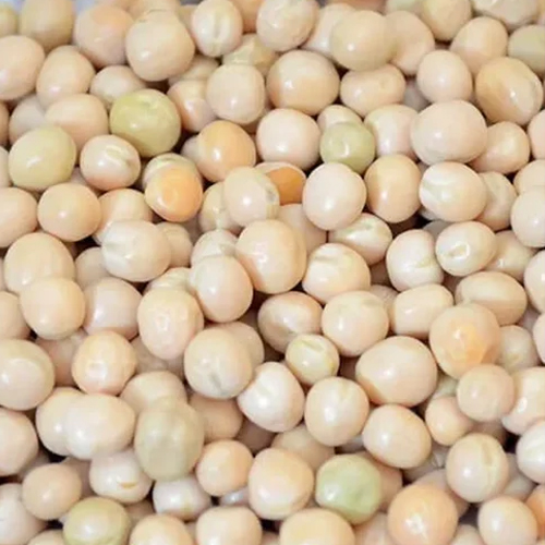 White Pea Beans