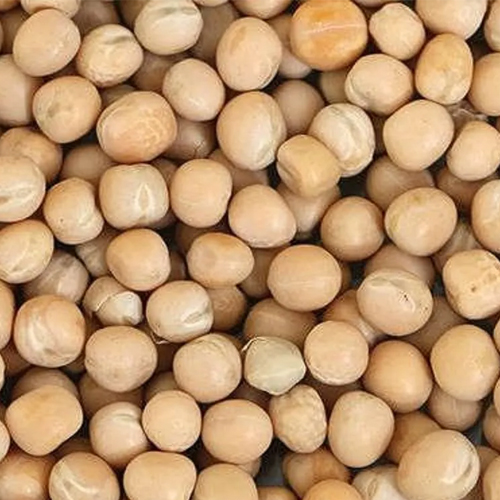 White Pea Beans