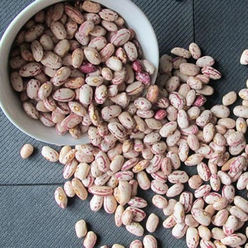 Light Speckled Kidney Beans