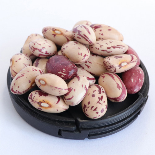 Light Speckled Kidney Beans