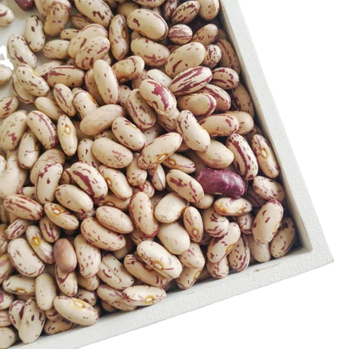 Light Speckled Kidney Beans