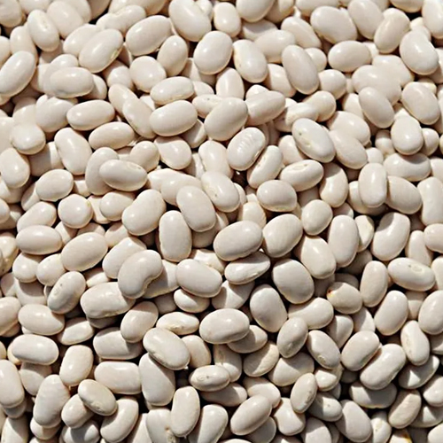 Light Speckled Kidney Beans