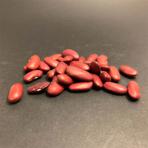 Organic Kidney Beans