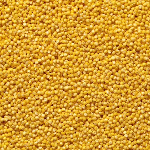 Organic Millet
