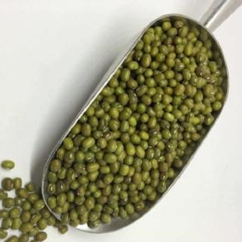 Organic Mung Beans