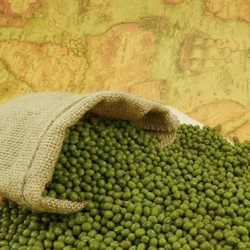 Organic Mung Beans