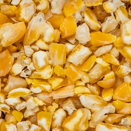 Crushed Maize