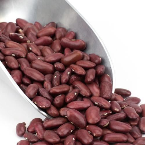 Purple Kidney Beans