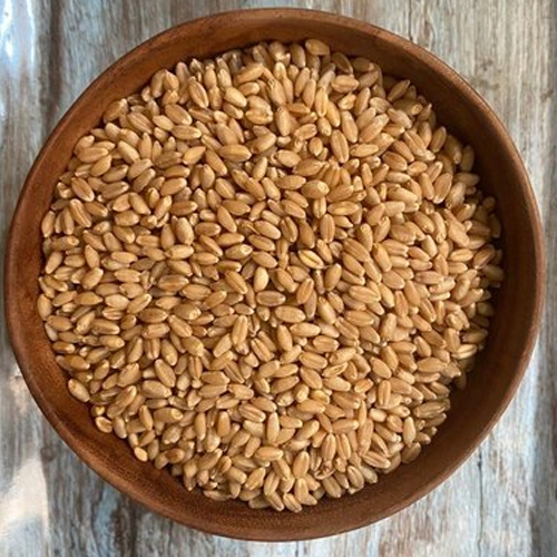 Organic Wheat Germ