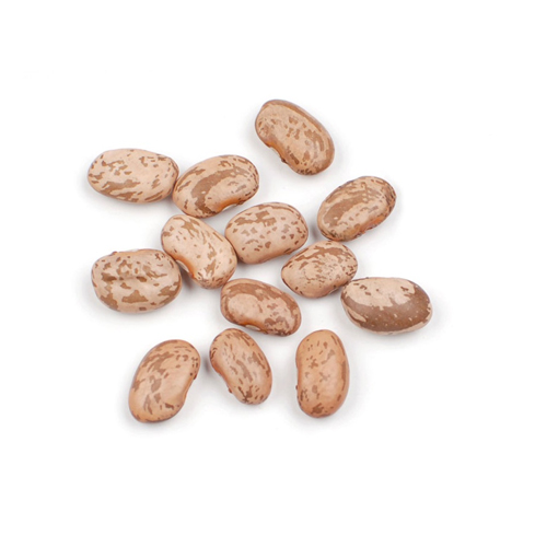 Purple Speckled Kidney Beans