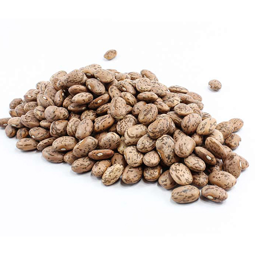 Purple Speckled Kidney Beans