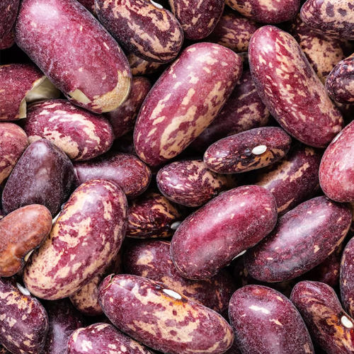 Purple Speckled Kidney Beans