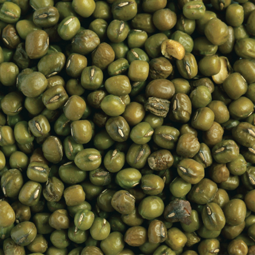 Whole Mung Beans