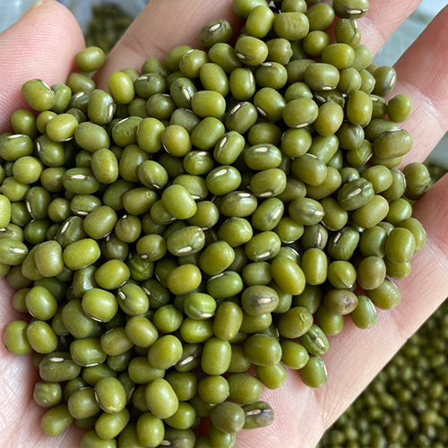 Whole Mung Beans
