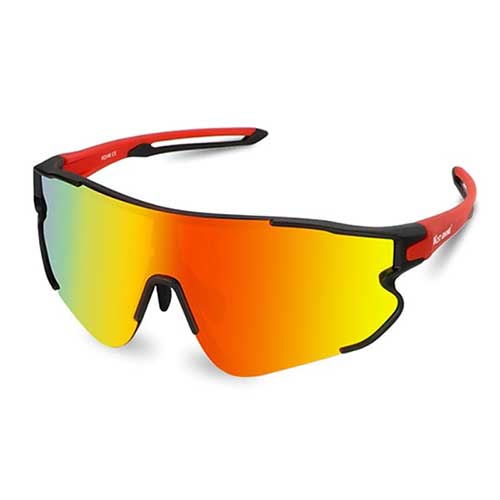 Polarized Sunglasses