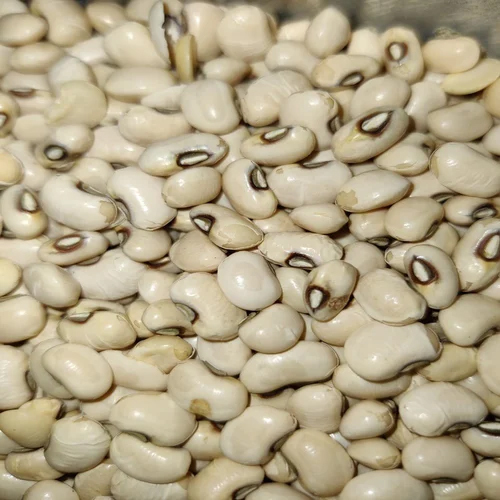 Organic White Beans
