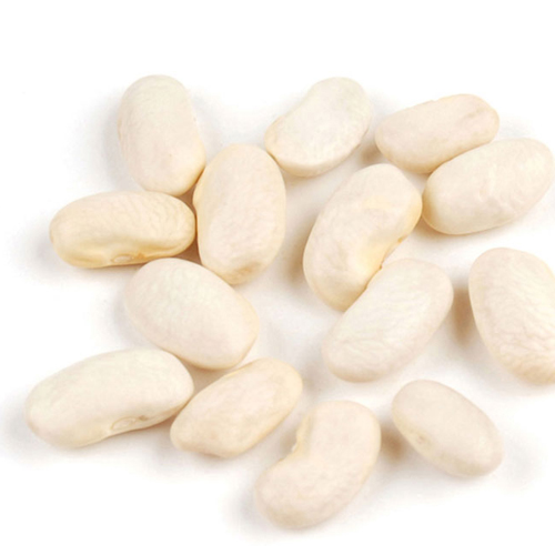 Organic White Beans