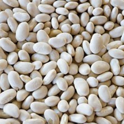 Organic White Beans
