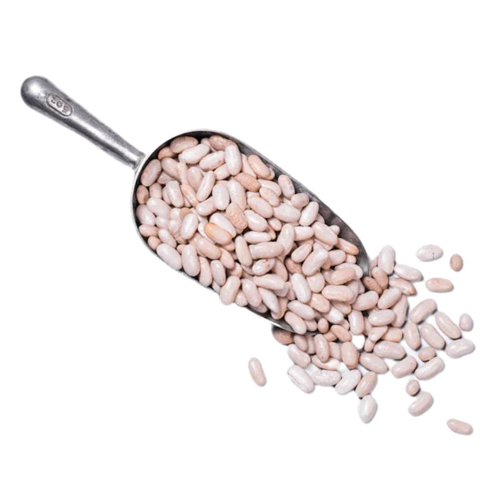 Organic White Beans