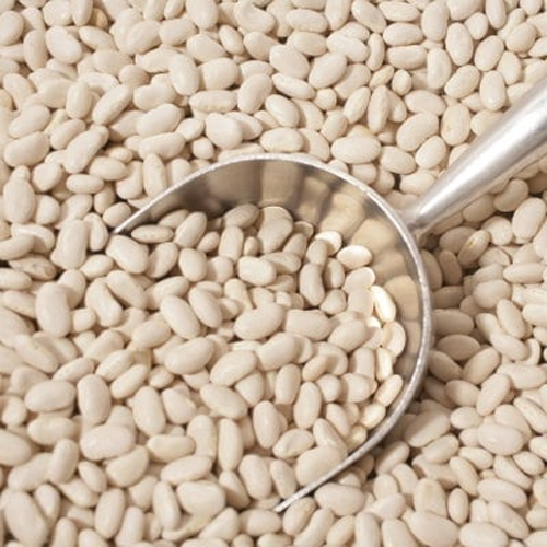 Organic White Beans