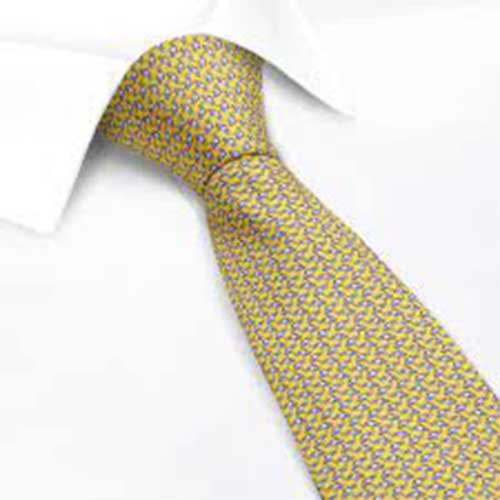 Printed Silk Ties