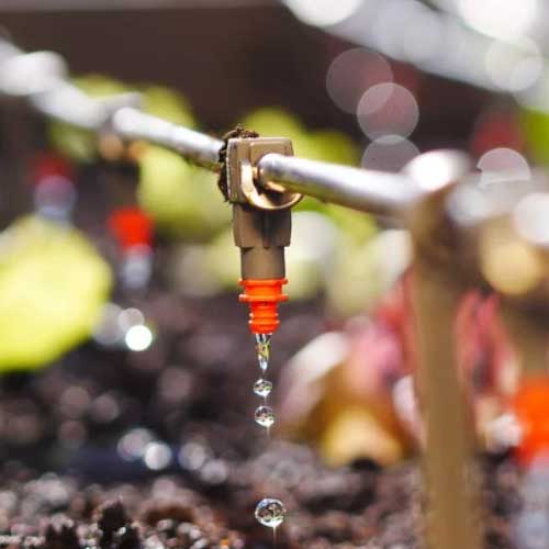 Drip Irrigation