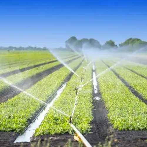 Drip Irrigation