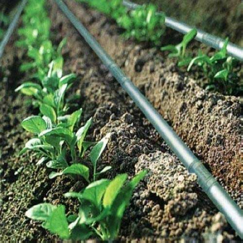 Drip Irrigation